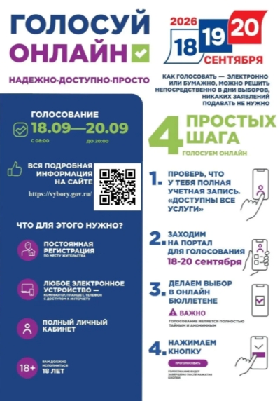 Проголосовать на выборах, не выходя из дома или офиса