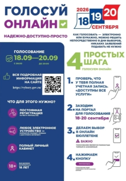 Проголосовать на выборах, не выходя из дома или офиса